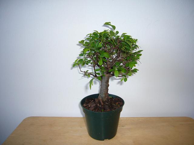 BS012001
