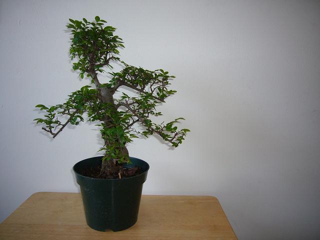 BS025001